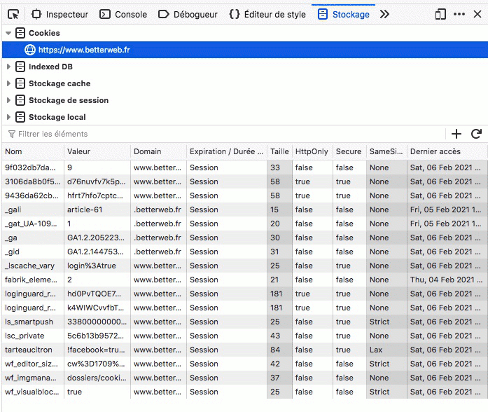 Voir les cookies dans le navigateur Firefox